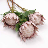 Big Size King Protea Flower Bloom 73cmH